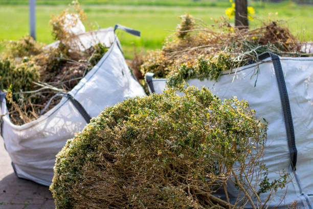 Best Residential Junk Removal  in Rogersville, MO